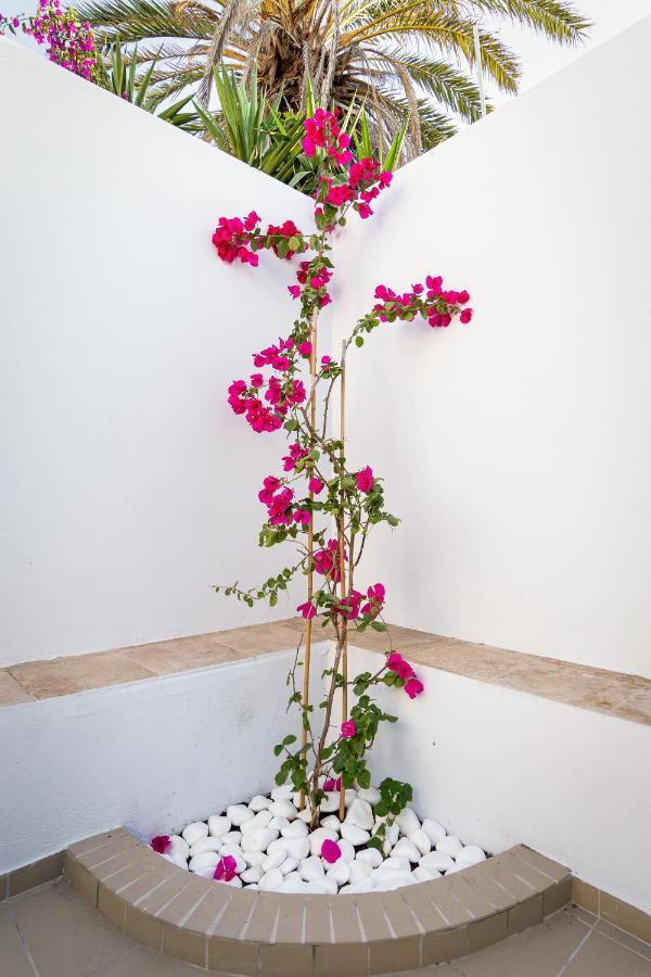 Ds Traditional Villas Santorini Island Karterados  Zewnętrze zdjęcie