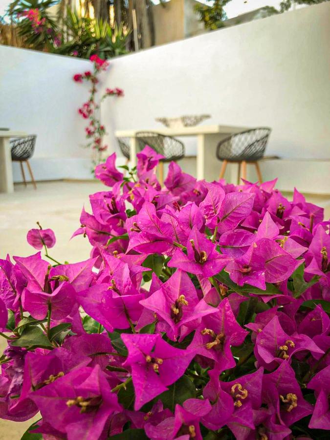 Ds Traditional Villas Santorini Island Karterados  Zewnętrze zdjęcie